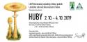 Huby 2019_pozv2.jpg Huby 2019_pozv2.jpg